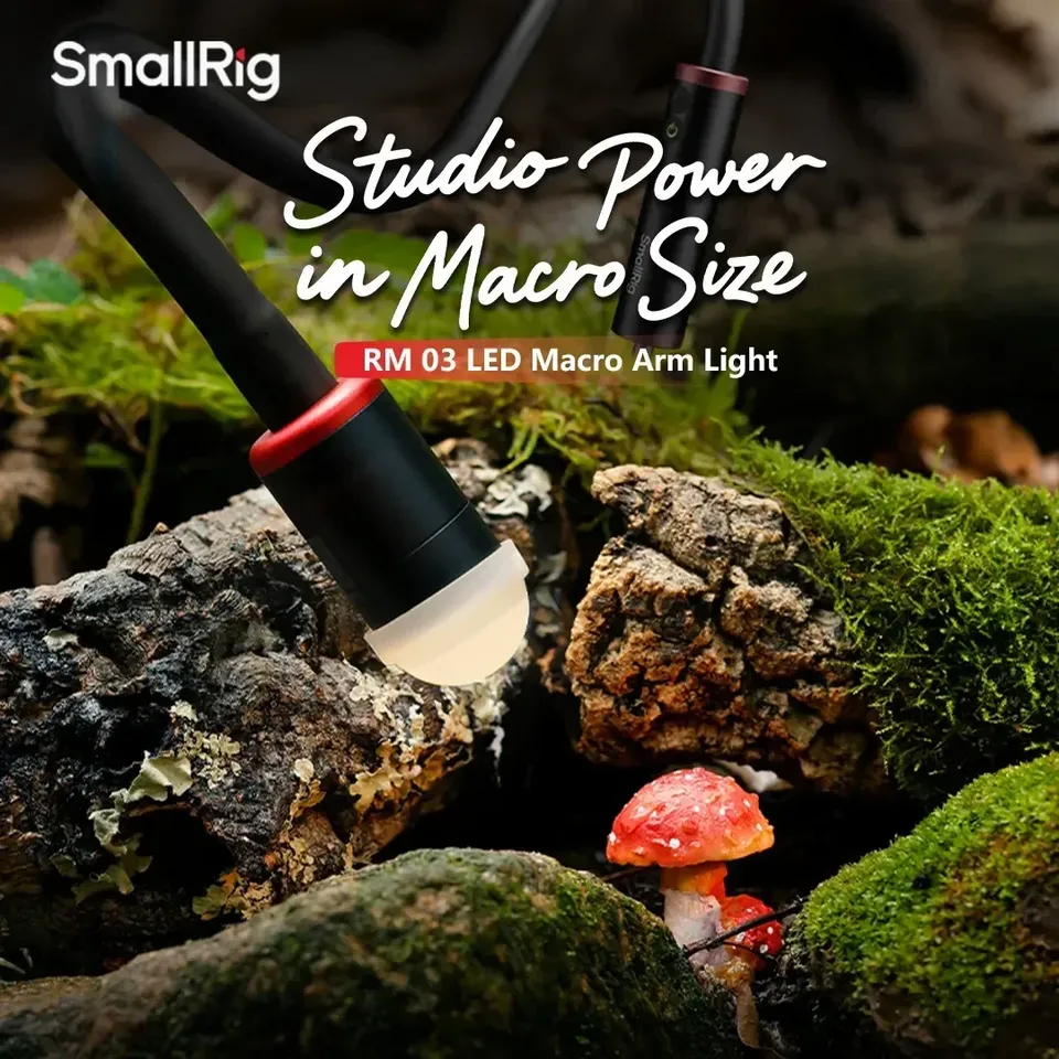 For Smallrig RM-03 3W LED Macr - Photography Lighting For Jewelry review and price